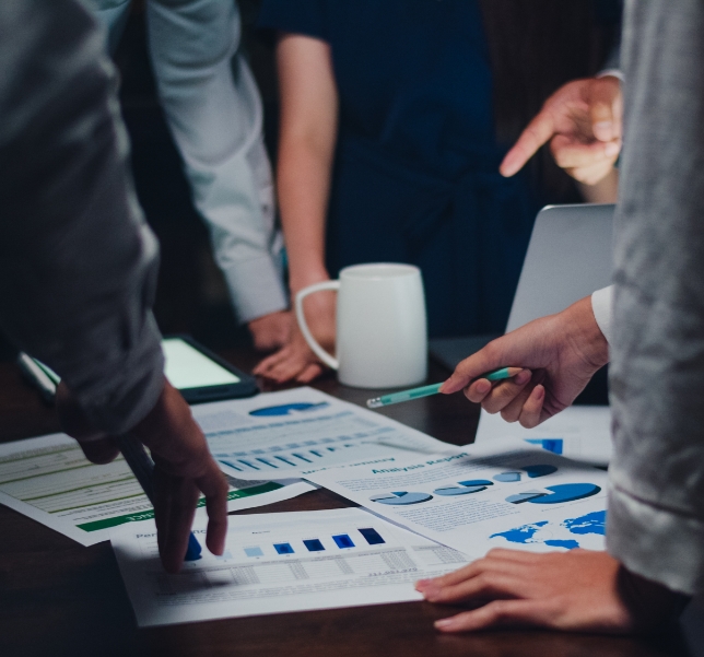 Proje Yönetimi ve Müşavirlik